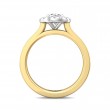 FlyerFit® 14K Yellow and 14K White Gold Channel and Shared Prong Engagement Ring