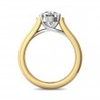 FlyerFit® 14K Yellow and 14K White Gold Channel and Shared Prong Engagement Ring