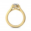 FlyerFit® 14K Yellow Gold Channel and Shared Prong Engagement Ring