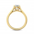 FlyerFit® 18K Yellow Gold Channel and Shared Prong Engagement Ring