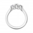 FlyerFit® 14K White Gold Three Stone Engagement Ring