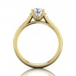 FlyerFit® 18K Yellow Gold Channel and Shared Prong Engagement Ring