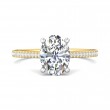 FlyerFit® 14K Yellow and 14K White Gold Micropave Engagement Ring