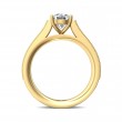 FlyerFit® 14K Yellow Gold Micropave Engagement Ring