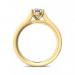 FlyerFit® 18K Yellow Gold Micropave Engagement Ring