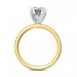 FlyerFit® 18K Yellow Gold Shank And White Gold Top Micropave Engagement Ring