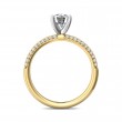 FlyerFit® 18K Yellow Gold Shank And White Gold Top Micropave Engagement Ring