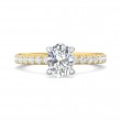 FlyerFit® 14K Yellow and 14K White Gold Micropave Engagement Ring