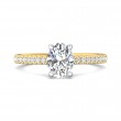 FlyerFit® 14K Yellow and 14K White Gold Micropave Engagement Ring