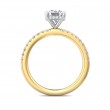 FlyerFit® 14K Yellow and 14K White Gold Micropave Engagement Ring