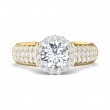 FlyerFit® 14K Yellow and 14K White Gold Micropave Halo Engagement Ring