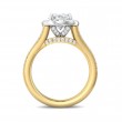 FlyerFit® 18K Yellow Gold Shank And White Gold Top Split Shank Engagement Ring