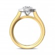 FlyerFit® 18K Yellow Gold Shank And White Gold Top Micropave Halo Engagement Ring