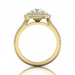 FlyerFit® 14K Yellow Gold Split Shank Engagement Ring