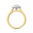 FlyerFit® 18K Yellow Gold Shank And White Gold Top Micropave Halo Engagement Ring