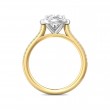 FlyerFit® 14K Yellow and 14K White Gold Micropave Halo Engagement Ring