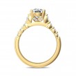 FlyerFit® 14K Yellow Gold Channel and Shared Prong Engagement Ring