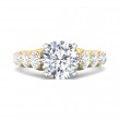 FlyerFit® 14K Yellow and 14K White Gold Channel and Shared Prong Engagement Ring