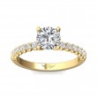 FlyerFit® 14K Yellow Gold Channel and Shared Prong Engagement Ring