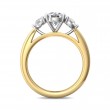 FlyerFit® 14K Yellow and 14K White Gold Three Stone Engagement Ring